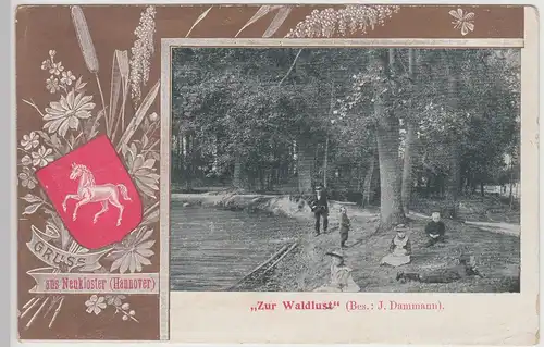 (115220) AK Gruß aus Neukloster, Hannover, Zur Waldlust 1906