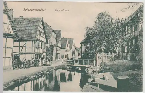 (114870) AK Salzhemmendorf, Dammstraße um 1910