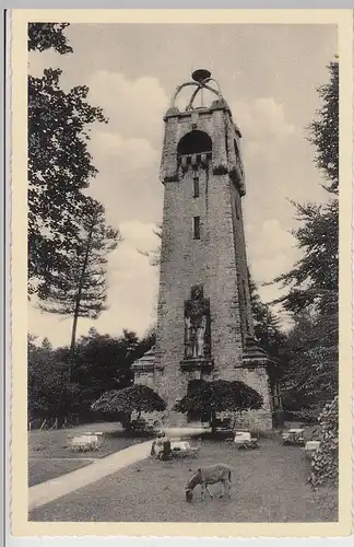 (114071) AK Bad Pyrmont, Königsberg, Bismarckturm