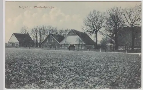 (113678) AK Meyer zu Westerhausen, Melle, vor 1945
