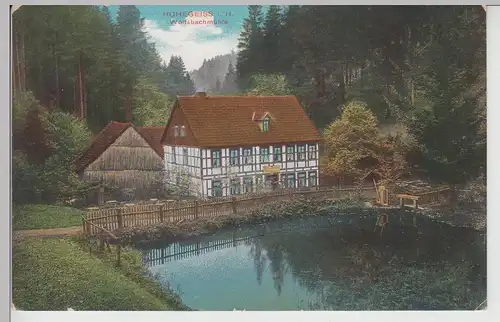 (113549) AK Hohegeiß, Harz, Wolfsbachmühle 1911