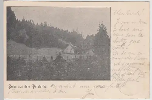 (112539) AK Gruß aus dem Polstertal, Harz, bis um 1905