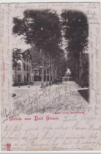 (110719) AK Gruss aus Bad Eilsen, Allee nach Bückeburg, 1903