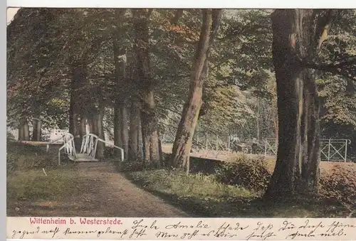 (110530) AK Wittenheim bei Westerstede, Parkanlage, 1907