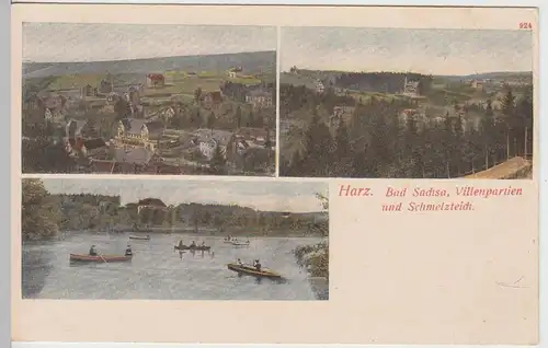 (109403) AK Bad Sachsa, Harz, Villen, Schmelzteich, bis 1905