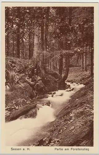 (109018) AK Seesen am Harz, Partie am Forellenstieg, vor 1945