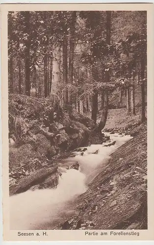 (109017) AK Seesen am Harz, Partie am Forellenstieg, vor 1945