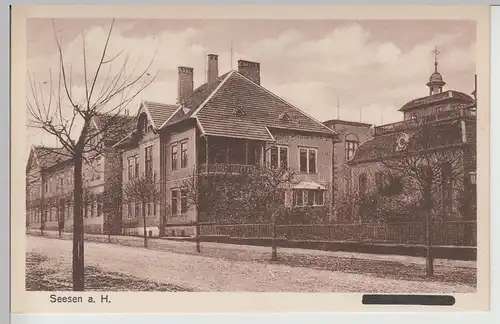 (108967) AK Seesen am Harz, Synagoge, Jacobson Schule, Jacobsonschule, vor 1945