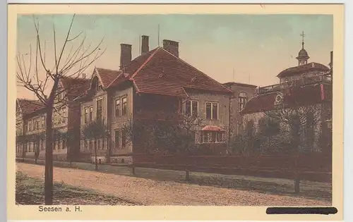 (108966) AK Seesen am Harz, Synagoge, Jacobson Schule, Jacobsonschule, vor 1945