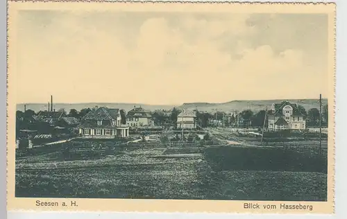 (108965) AK Seesen am Harz, Blick vom Hasseberg, vor 1945