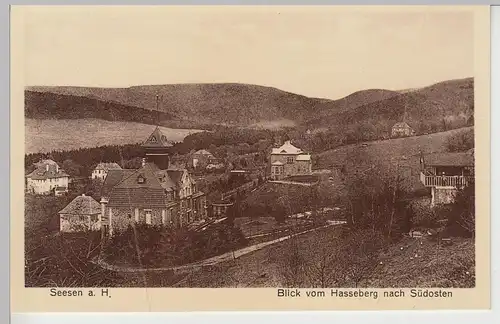 (108961) AK Seesen am Harz, Blick vom Hasseberg nach Südosten, vor 1945