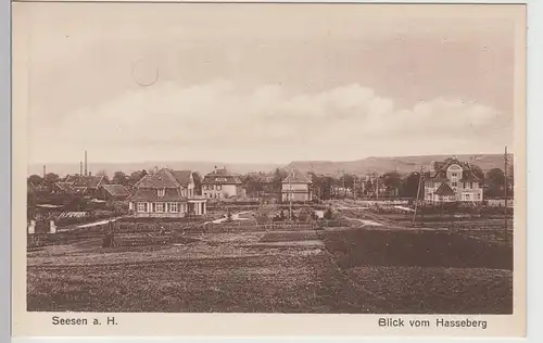 (108962) AK Seesen am Harz, Blick vom Hasseberg, vor 1945