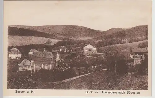 (108960) AK Seesen am Harz, Blick vom Hasseberg nach Südosten, vor 1945