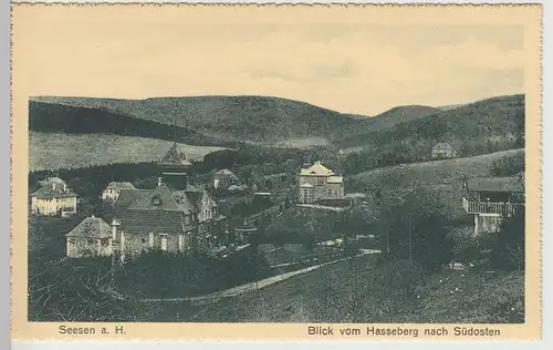 (108959) AK Seesen am Harz, Blick vom Hasseberg nach Südosten, vor 1945