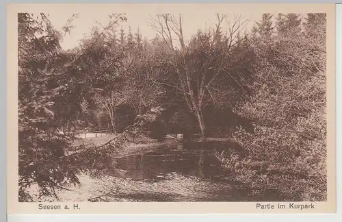 (108958) AK Seesen am Harz, Kurpark, Teich, vor 1945