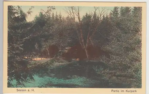 (108957) AK Seesen am Harz, Kurpark, Teich, vor 1945