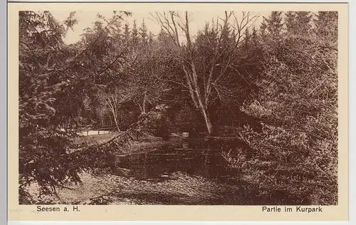 (108956) AK Seesen am Harz, Kurpark, Teich, vor 1945