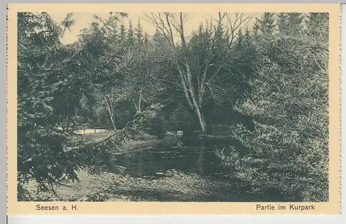 (108955) AK Seesen am Harz, Kurpark, Teich, vor 1945