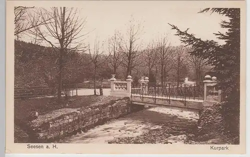 (108954) AK Seesen am Harz, Kurpark, Brücke, vor 1945