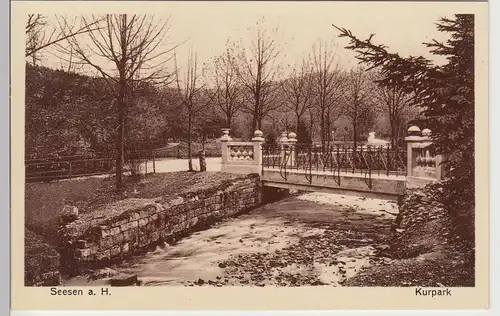 (108953) AK Seesen am Harz, Kurpark, Brücke, vor 1945