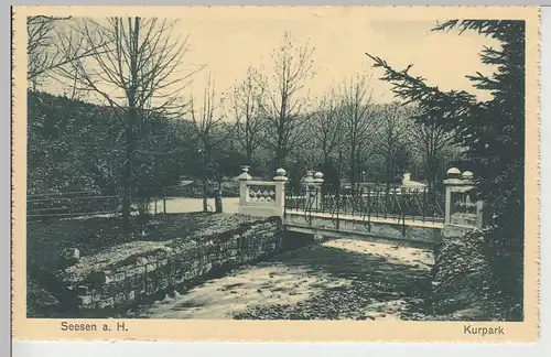 (108952) AK Seesen am Harz, Kurpark, Brücke, vor 1945