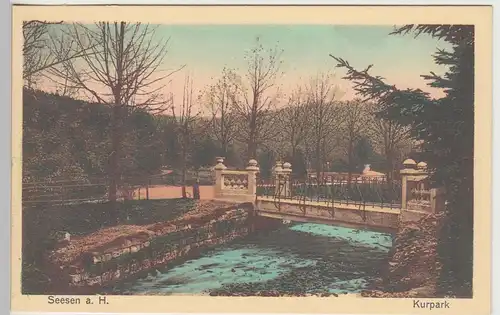 (108951) AK Seesen am Harz, Kurpark, Brücke, vor 1945