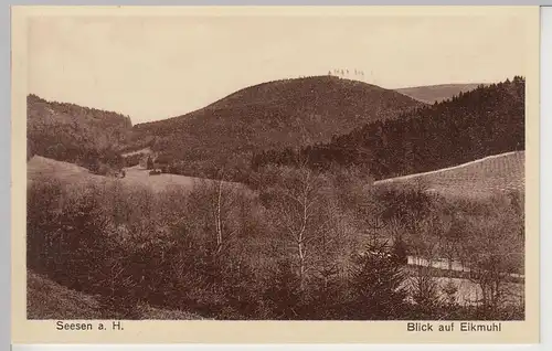 (108946) AK Seesen am Harz, Blick auf Eikmuhl, vor 1945