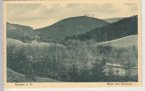 (108944) AK Seesen am Harz, Blick auf Eikmuhl, vor 1945
