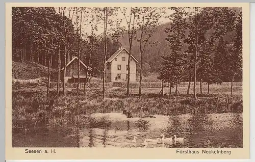 (108943) AK Seesen am Harz, Forsthaus Neckelnberg, vor 1945