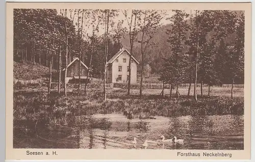 (108942) AK Seesen am Harz, Forsthaus Neckelnberg, vor 1945