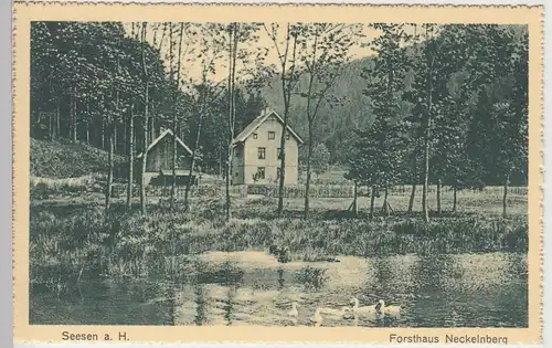 (108941) AK Seesen am Harz, Forsthaus Neckelnberg, vor 1945