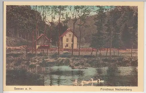 (108940) AK Seesen am Harz, Forsthaus Neckelnberg, vor 1945