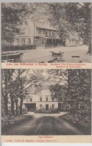 (108681) AK Drübberholz bei Eystrup, Kurhaus Villa u. Gut Drübber, um 1910