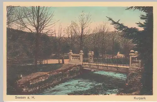 (108536) AK Seesen am Harz, Kurpark, Brücke, vor 1945