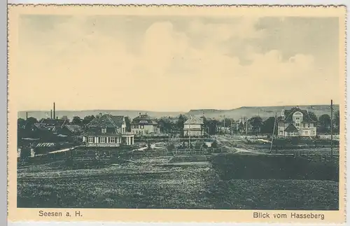 (108534) AK Seesen am Harz, Blick vom Hasseberg, vor 1945