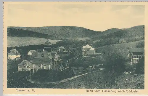 (108530) AK Seesen am Harz, Blick vom Hasseberg nach Südosten, Ortsansicht, vor