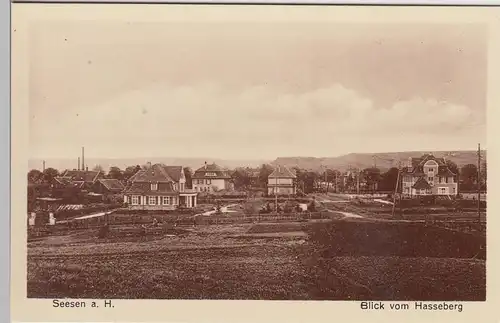 (108525) AK Seesen am Harz, Blick vom Hasseberg, vor 1945