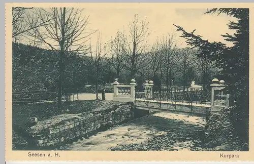 (108521) AK Seesen am Harz, Kurpark, Brücke, vor 1945