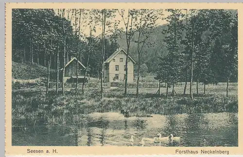 (108515) AK Seesen am Harz, Forsthaus Neckelnberg, vor 1945