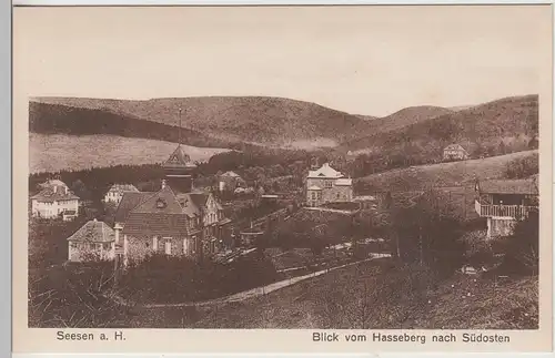 (108513) AK Seesen am Harz, Blick vom Hasseberg nach Südosten, Ortsansicht, vor