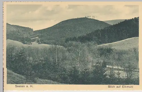 (108509) AK Seesen am Harz, Blick auf Eikmuhl, vor 1945