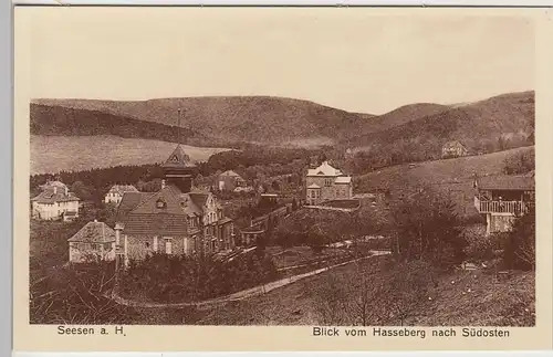 (108507) AK Seesen am Harz, Blick vom Hasseberg nach Südosten, Ortsansicht, vor