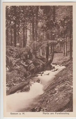 (108466) AK Seesen am Harz, Partie am Forellenstieg, vor 1945