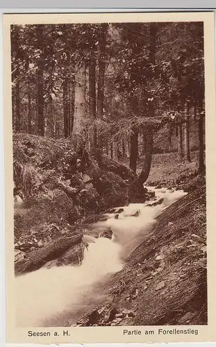 (108465) AK Seesen am Harz, Partie am Forellenstieg, vor 1945