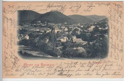 (108430) AK Gruß aus Harzburg, Panorama 1901