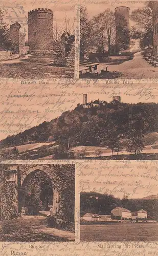 (108122) AK Burg Plesse, Mehrbildkarte m. Turm, Mariaspring, Burgtor 1906