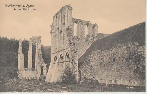 (107851) AK Kloster Walkenried, Ruine 1913