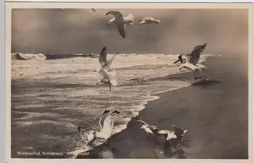 (107710) Foto AK Nordseebad Norderney, Möwenspiel, 1932