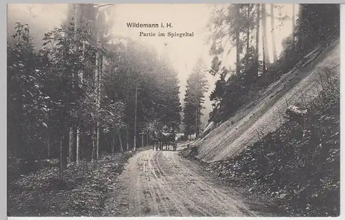 (106215) AK Wildemann im Harz, Partie im Spiegeltal, Bahnpost 1909