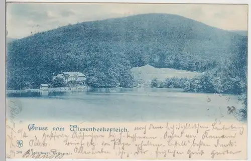 (104669) AK Gruss vom Wiesenbeker Teich, Bad Lauterberg im Harz 1899